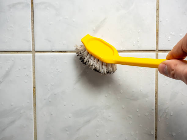 Best Commercial Mold Removal  in Aquebogue, NY